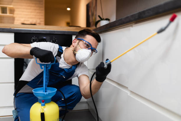 Best Pest Control for Homes  in South Lockport, NY