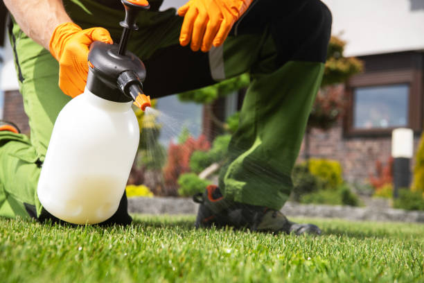 Pest Prevention Services in South Lockport, NY