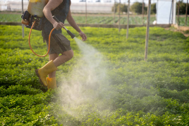 Best Pest Removal Services  in South Lockport, NY