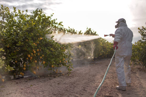 Best Pest Control Cost  in South Lockport, NY
