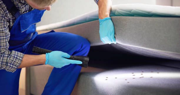 Best Pest Inspection Near Me  in South Lockport, NY